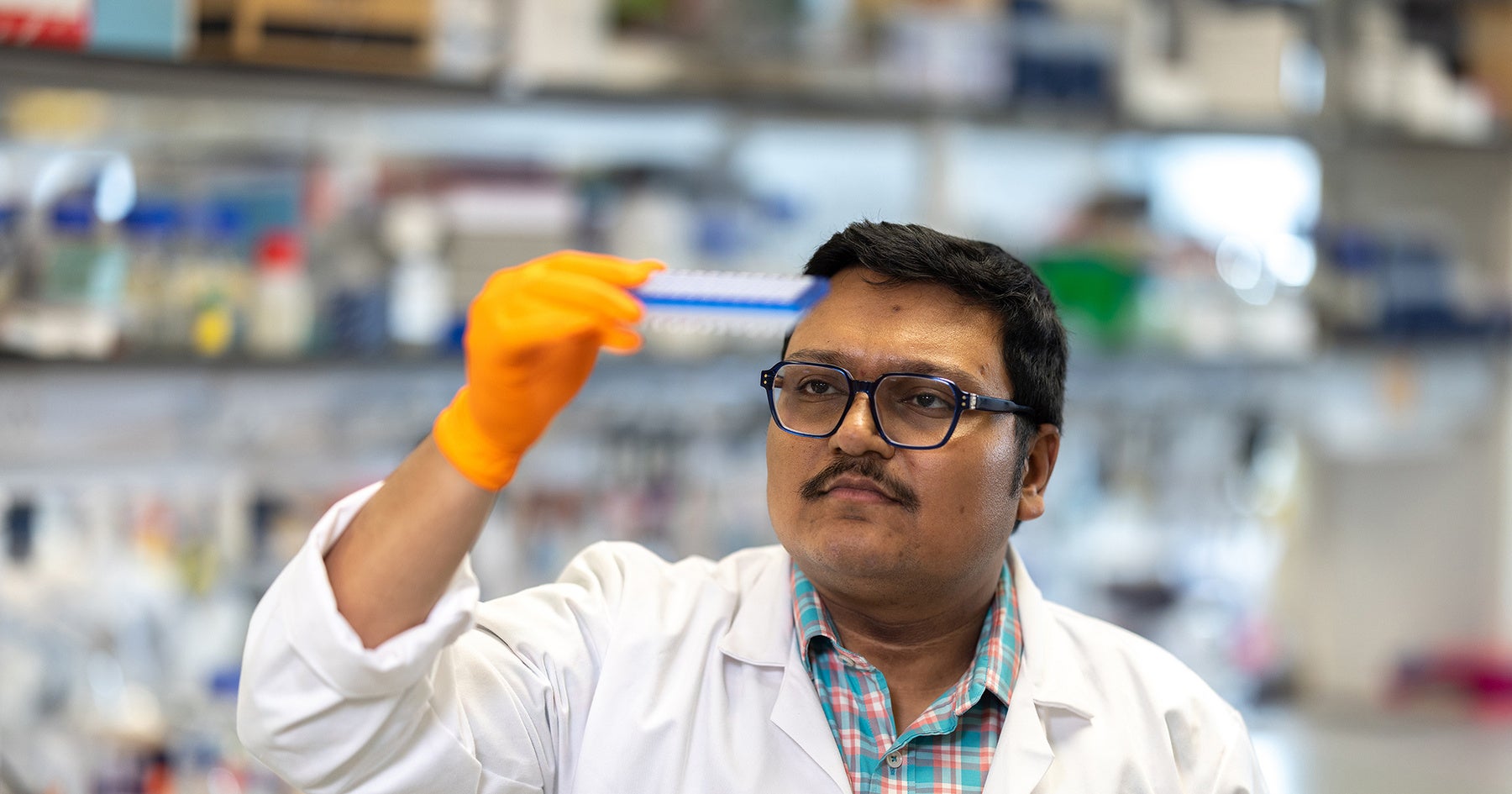 Scientist in lab coat and orange glove examines a test tube rack in a laboratory