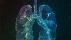 Image of lungs