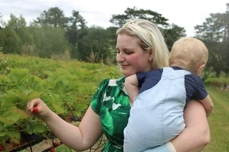 Woman carrying a baby and picking strawberries